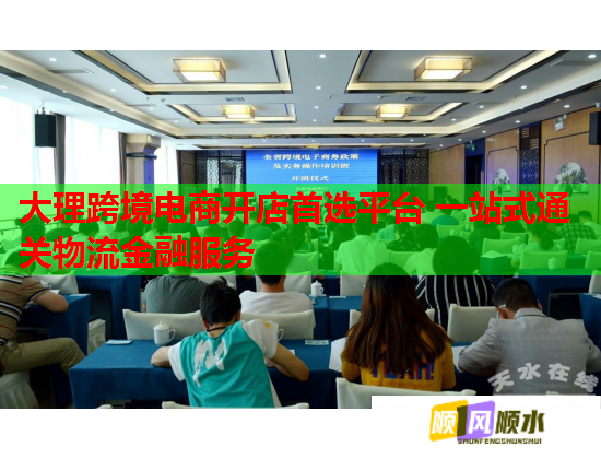 大理跨境电商开店首选平台 一站式通关物流金融服务  第2张