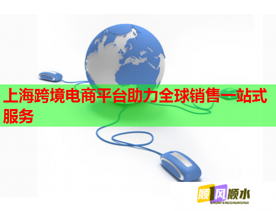 上海跨境电商平台助力全球销售一站式服务  第1张
