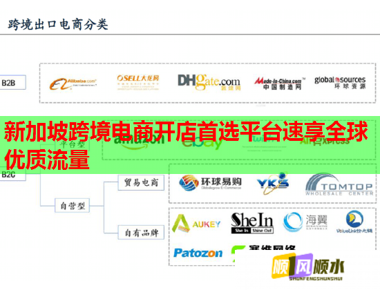 新加坡跨境电商开店首选平台速享全球优质流量  第1张