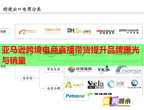 亚马逊跨境电商直播带货提升品牌曝光与销量  第2张