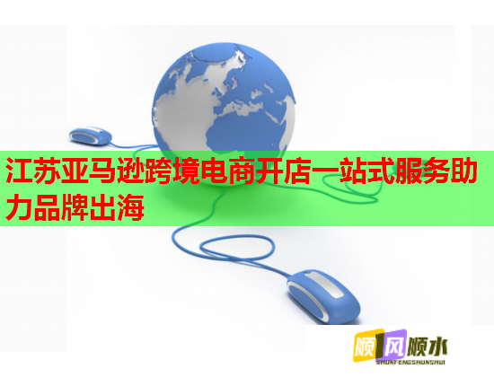 江苏亚马逊跨境电商开店一站式服务助力品牌出海  第1张