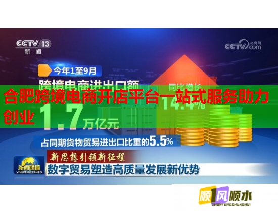 合肥跨境电商开店平台一站式服务助力创业  第2张