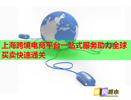 上海跨境电商平台一站式服务助力全球买卖快速通关  第1张
