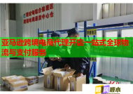 亚马逊跨境电商代理开店一站式全球物流与支付服务