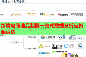 跨境电商选品利器一站式数据分析与货源直达