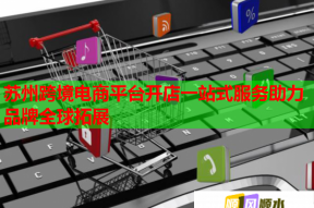 苏州跨境电商平台开店一站式服务助力品牌全球拓展