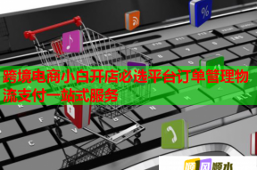 跨境电商小白开店必选平台订单管理物流支付一站式服务