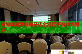 新加坡跨境电商开店全流程平台优势解析