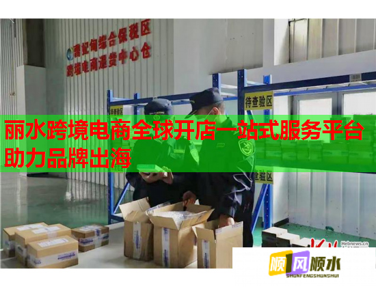 丽水跨境电商全球开店一站式服务平台助力品牌出海  第2张
