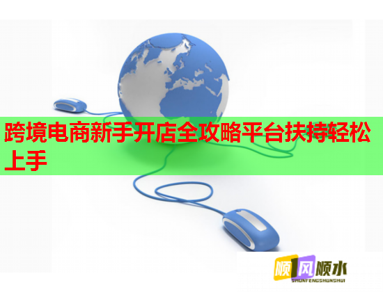 跨境电商新手开店全攻略平台扶持轻松上手  第1张