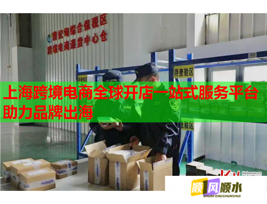 上海跨境电商全球开店一站式服务平台助力品牌出海  第2张