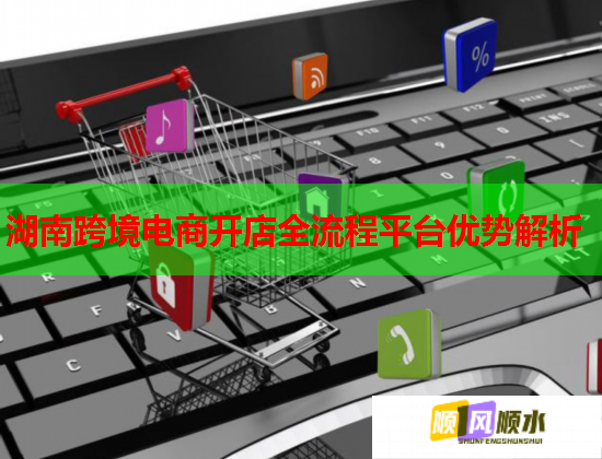 湖南跨境电商开店全流程平台优势解析  第2张
