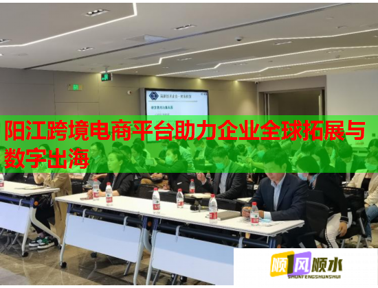 阳江跨境电商平台助力企业全球拓展与数字出海  第1张