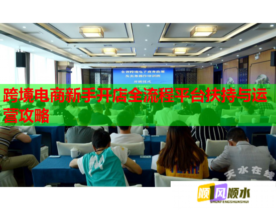 跨境电商新手开店全流程平台扶持与运营攻略  第1张