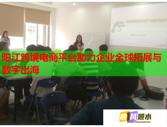 阳江跨境电商平台助力企业全球拓展与数字出海  第2张