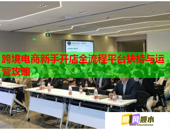 跨境电商新手开店全流程平台扶持与运营攻略  第3张